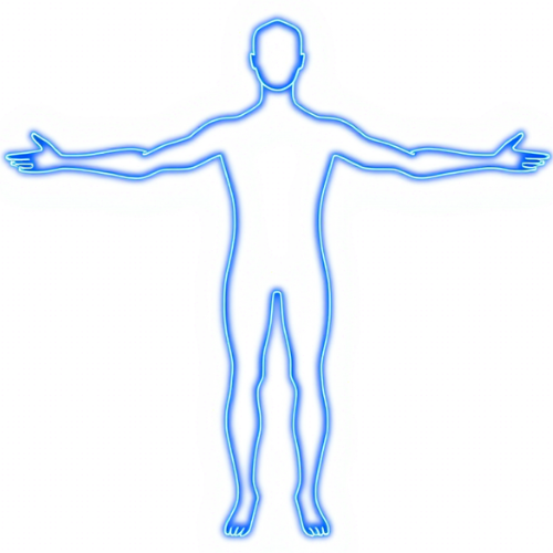 Body